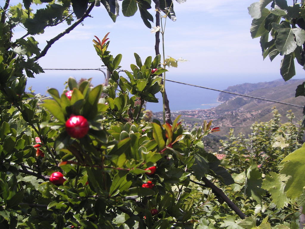 Bed and Breakfast Cilento Сан-Мауро-Чиленто Экстерьер фото